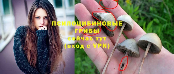 ALPHA PVP Балахна