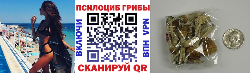 Галлюциногенные грибы Cubensis что такое наркотик Лабинск